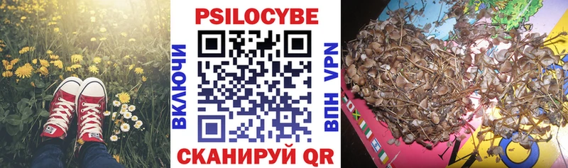 площадка Telegram  Красногорск  Галлюциногенные грибы Psilocybe 