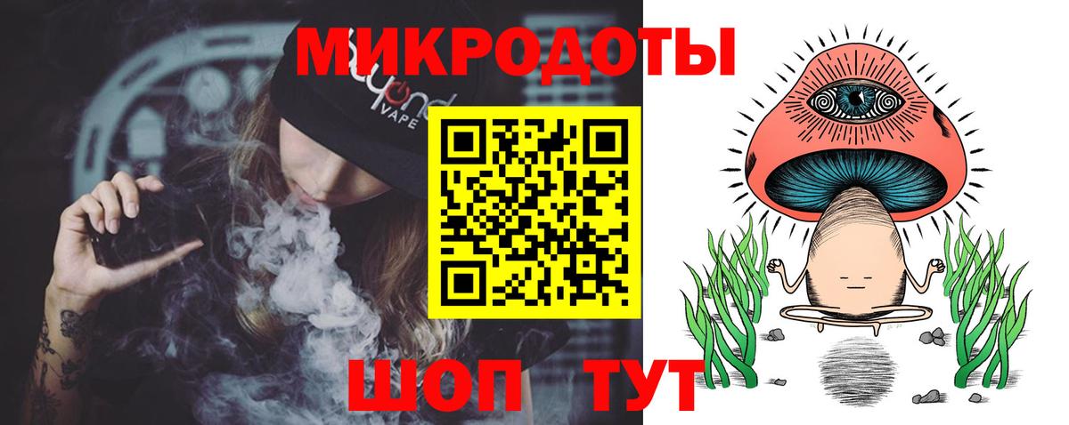 Галлюциногенные грибы Psilocybe Красногорск