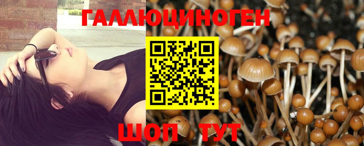Галлюциногенные грибы мухоморы  сколько стоит  Красногорск 